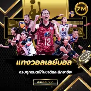 แทงวอลเลย์บอล